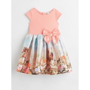 H&M Girls Flared Skirt Dress Pink With Horses  Flowers Size 6x-7 Lined